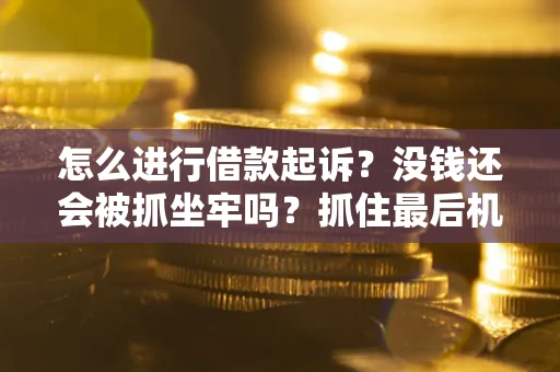 武汉怎么进行借款起诉？没钱还会被抓坐牢吗？抓住最后机会！