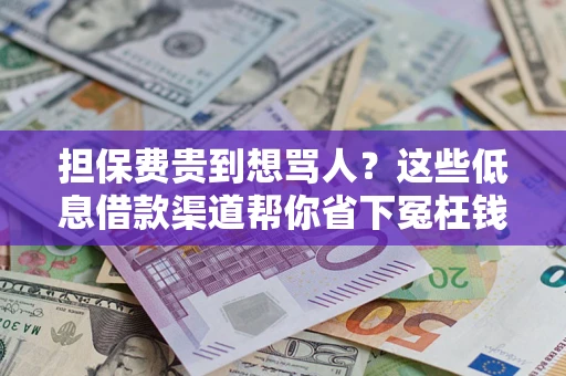 武汉担保费贵到想骂人？这些低息借款渠道帮你省下冤枉钱