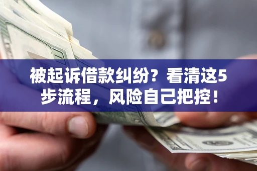 武汉被起诉借款纠纷？看清这5步流程，风险自己把控！