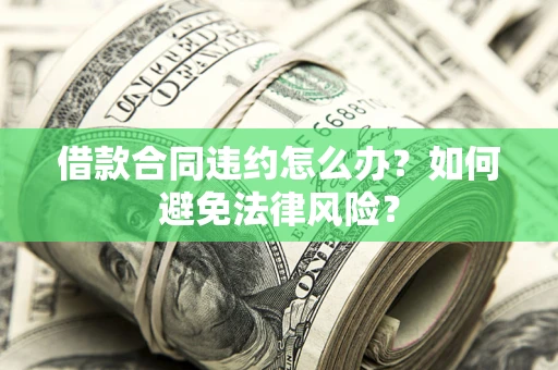 武汉借款合同违约怎么办？如何避免法律风险？