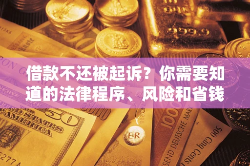 武汉借款不还被起诉？你需要知道的法律程序、风险和省钱技巧